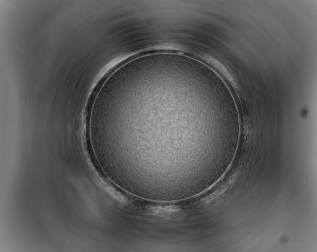 X0000100191133200806061252