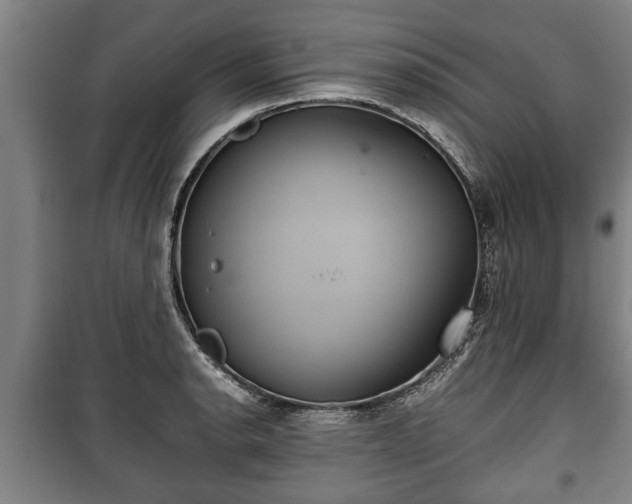 X0000100191134200806061252