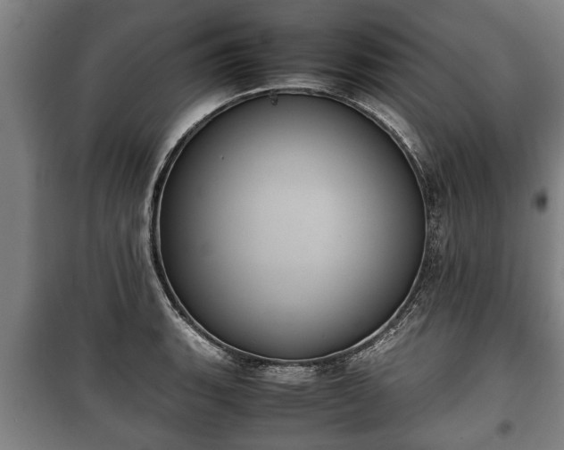 X0000100191135200806061252