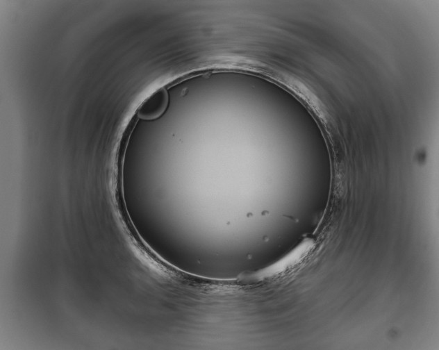 X0000100191136200806061252