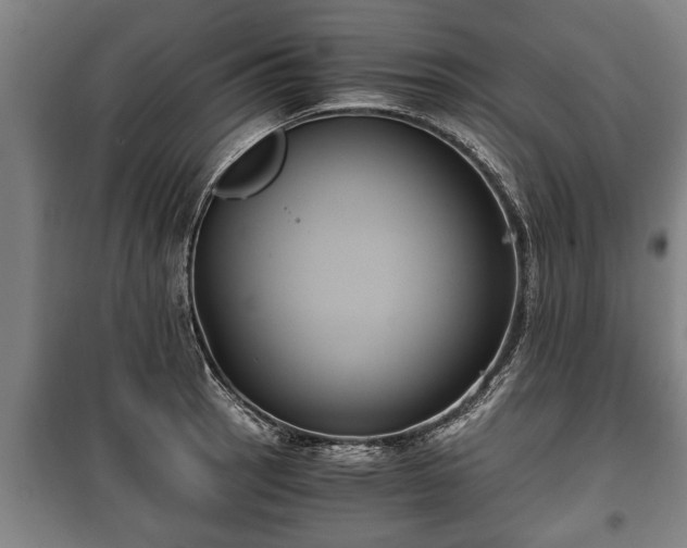 X0000100191137200806061252