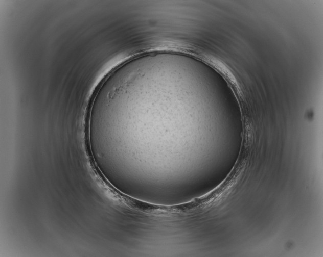 X0000100191138200806061252