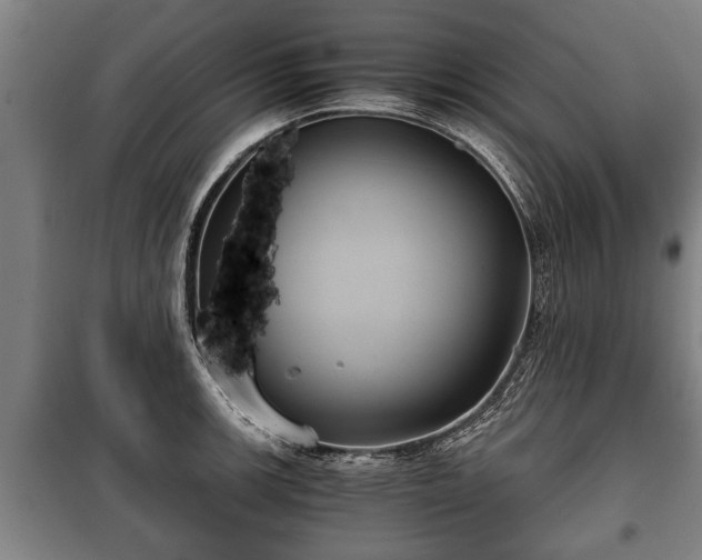 X0000100191139200806061252