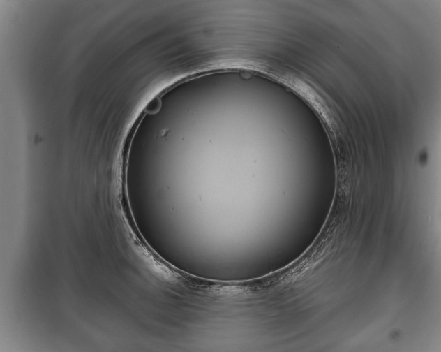 X0000100191140200806061252