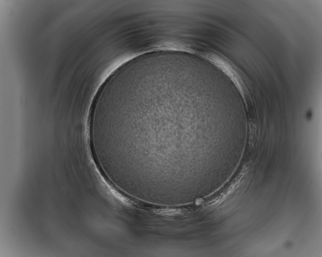 X0000100191141200806061252