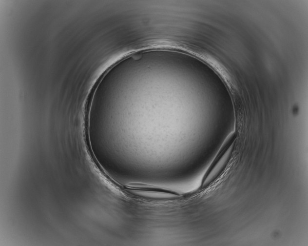 X0000100191142200806061252