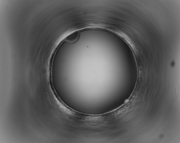 X0000100191143200806061252