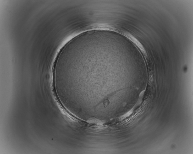 X0000100191144200806061252