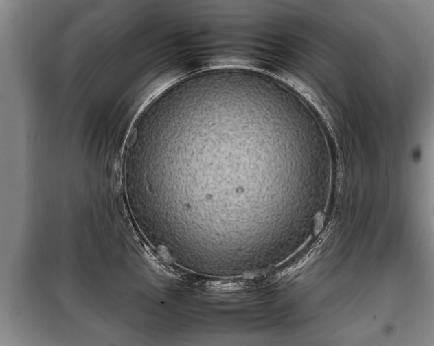 X0000100191145200806061252