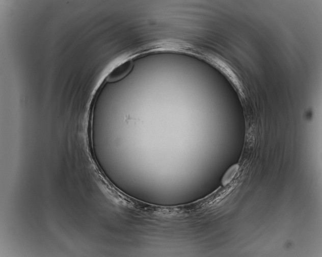 X0000100191146200806061252