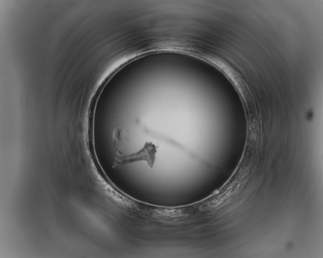 X0000100191147200806061252