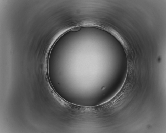 X0000100191148200806061252