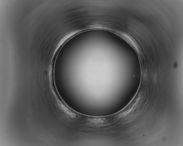 X0000100191149200806061252