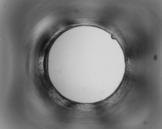 X0000100191150200806061252