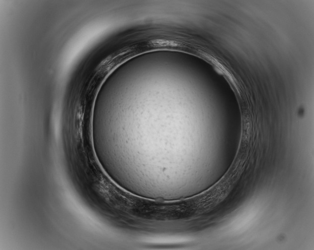 X0000100191151200806061252