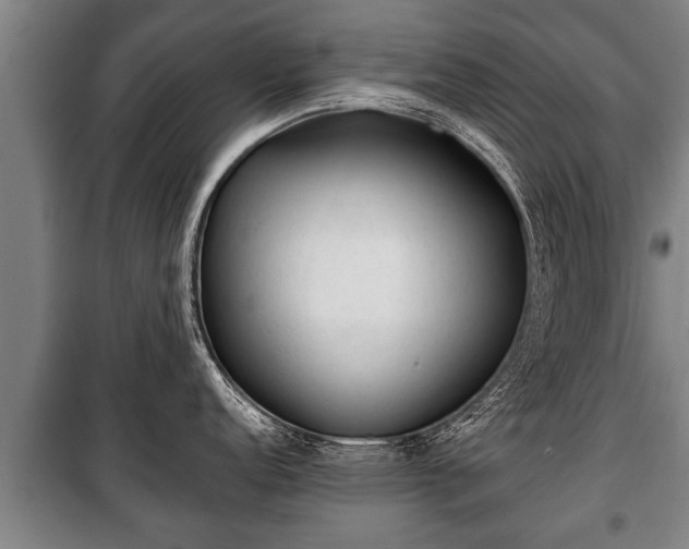 X0000100191152200806061252