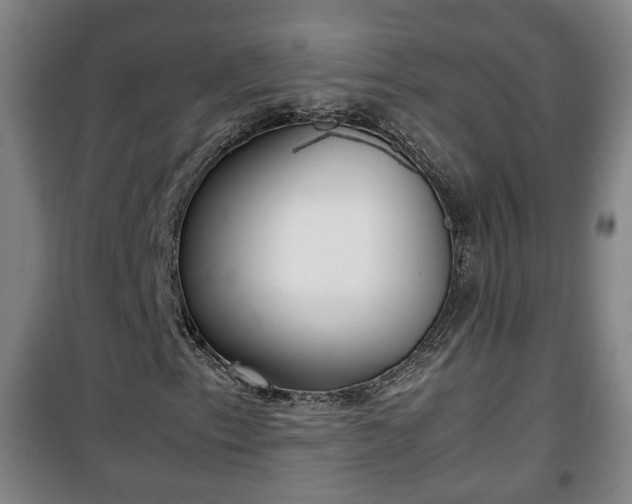 X0000100191153200806061251