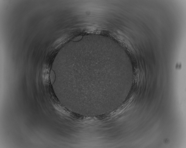 X0000100191154200806061251