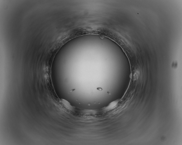 X0000100191156200806061251