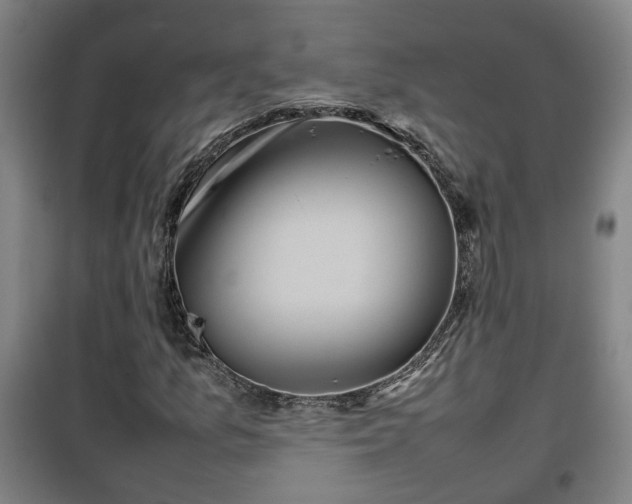 X0000100191157200806061251