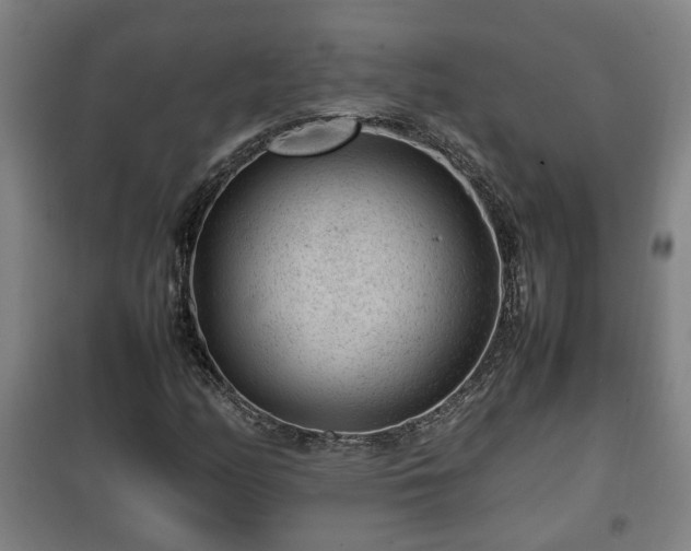 X0000100191158200806061251