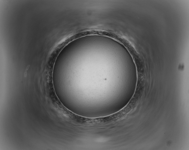 X0000100191159200806061251