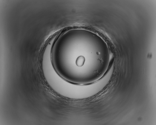 X0000100191160200806061251