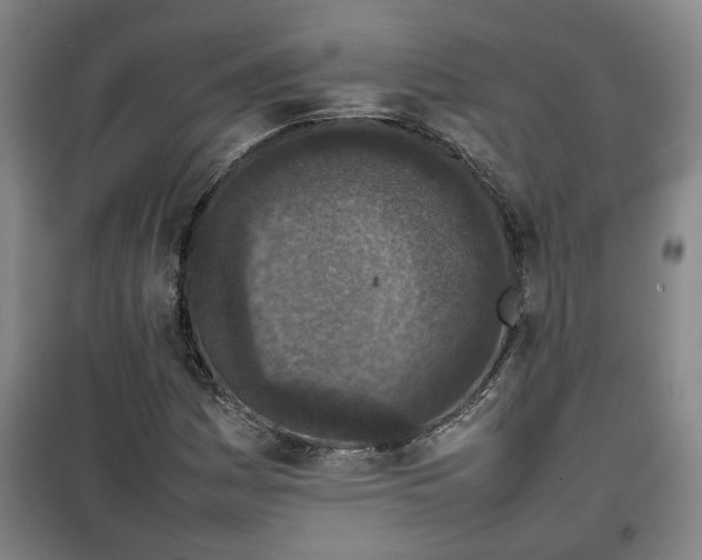 X0000100191161200806061251