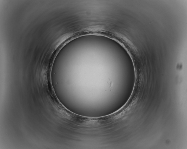 X0000100191162200806061251