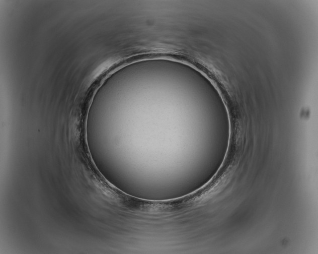 X0000100191163200806061251