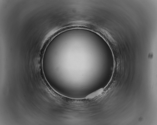 X0000100191164200806061251