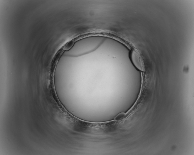 X0000100191165200806061251