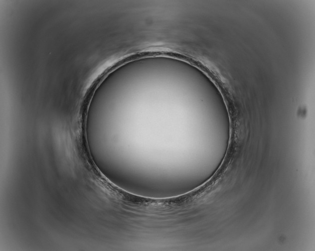 X0000100191167200806061251