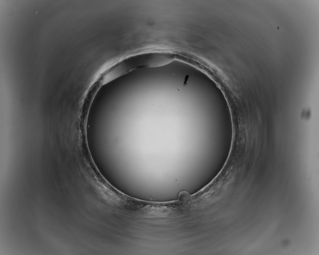 X0000100191168200806061251