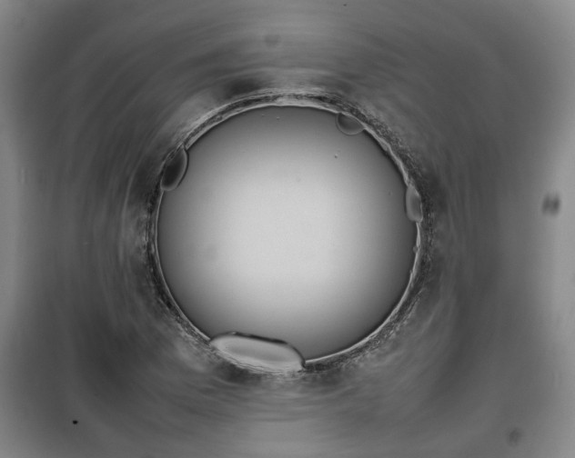 X0000100191169200806061251