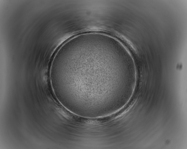 X0000100191170200806061251