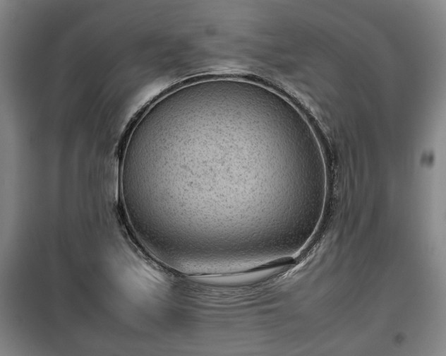 X0000100191171200806061251