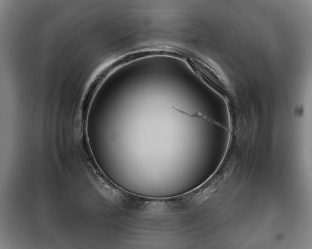 X0000100191172200806061251