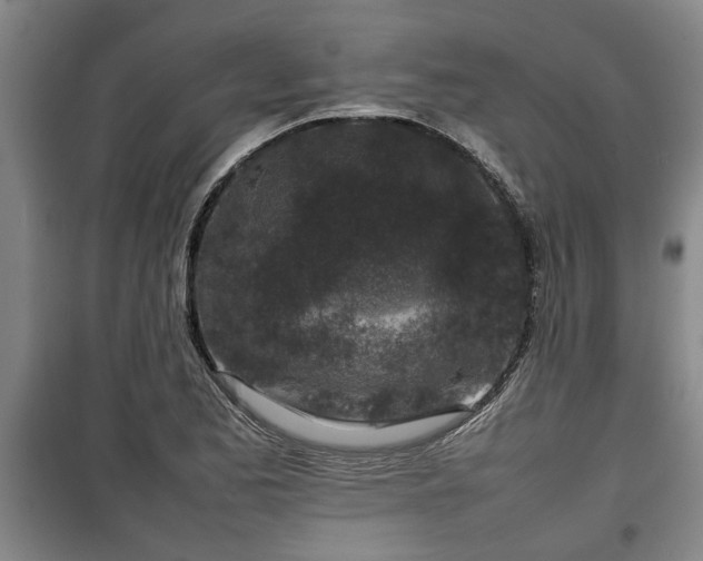 X0000100191173200806061251