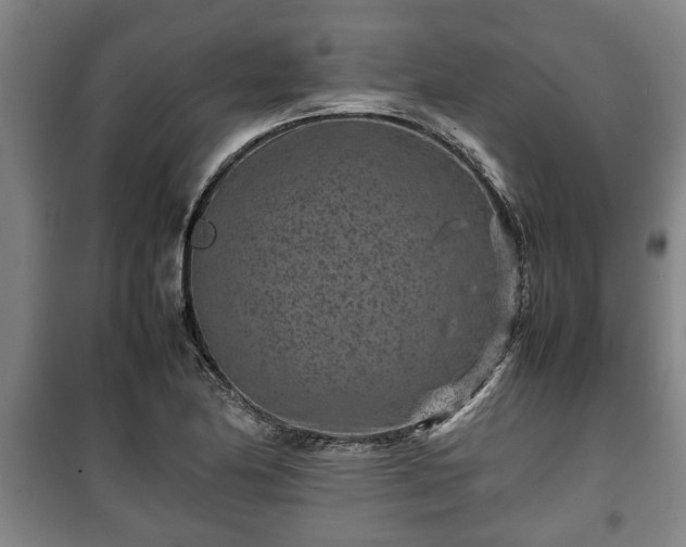 X0000100191174200806061251