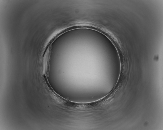 X0000100191175200806061251