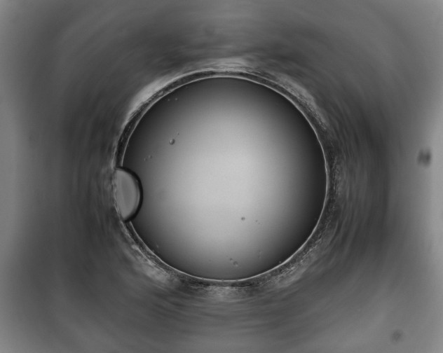 X0000100191176200806061251