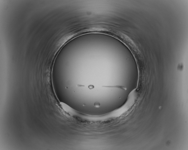 X0000100191177200806061251