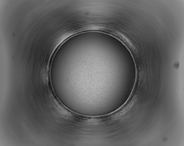 X0000100191178200806061251