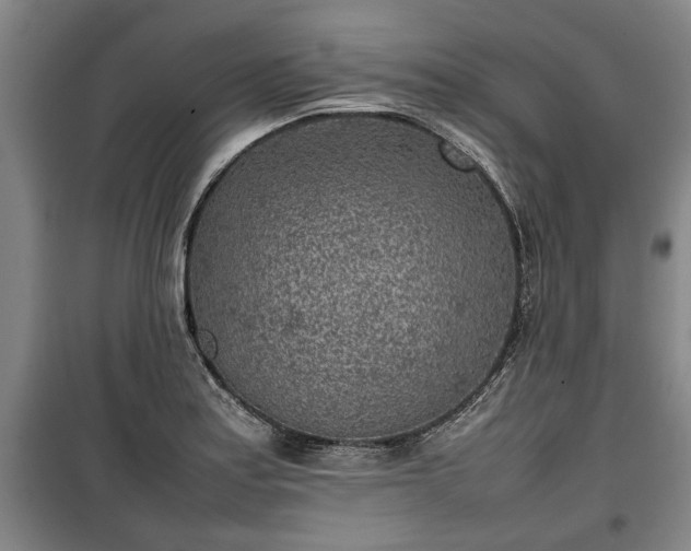 X0000100191179200806061251