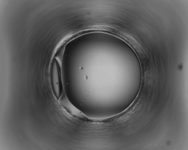 X0000100191180200806061251