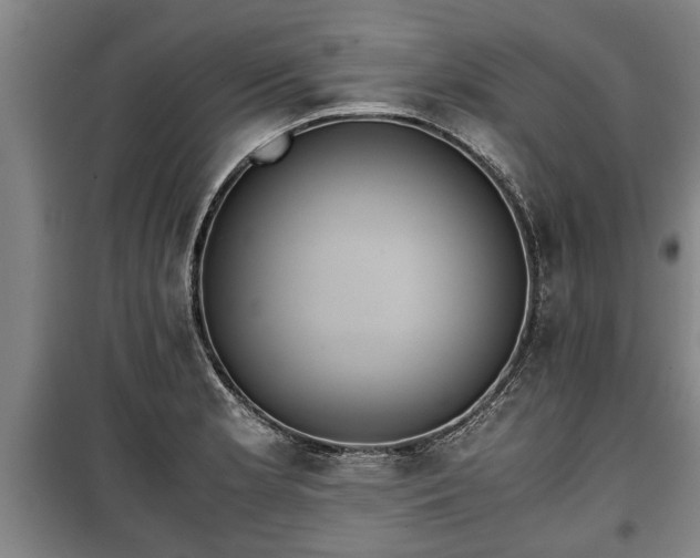 X0000100191181200806061251