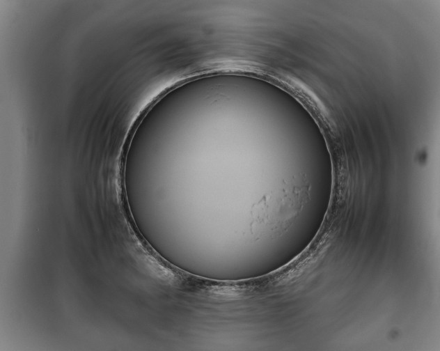 X0000100191182200806061251