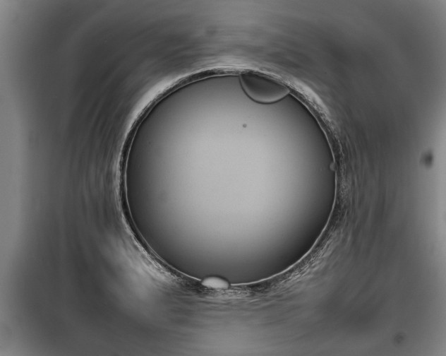 X0000100191183200806061251