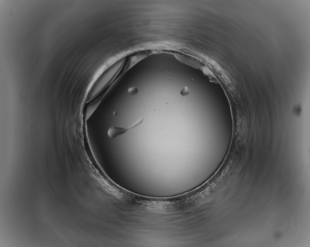 X0000100191184200806061251